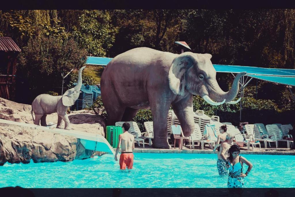 Hotel Aquapark &